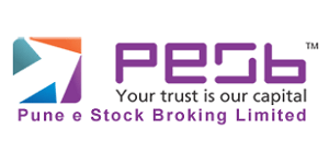 Pune E-Stock Logo