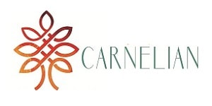 Carnelian PMS Logo