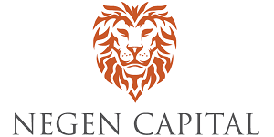 Negen Capital PMS Logo